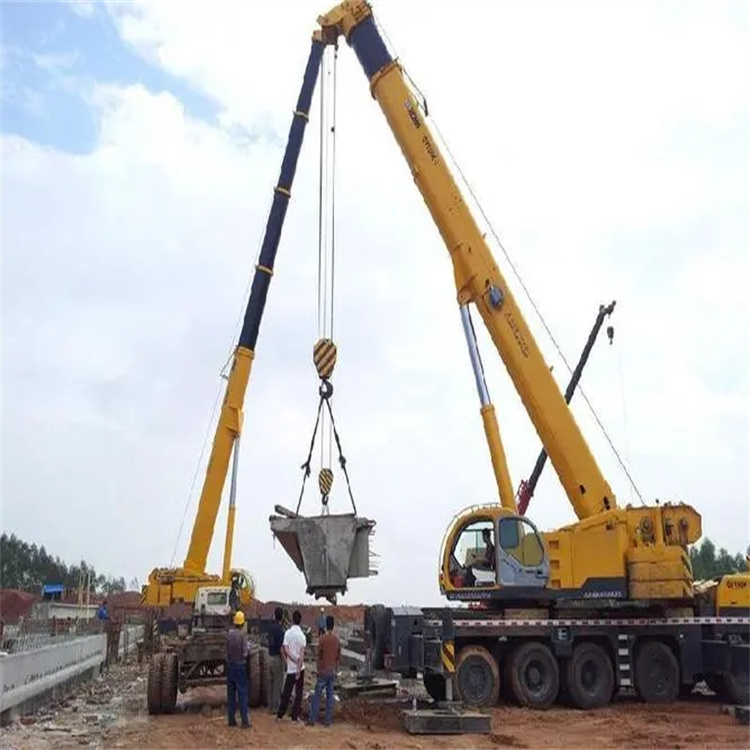 新州镇小型吊机出租电话|厂房设备吊装方案|24小时服务覆盖